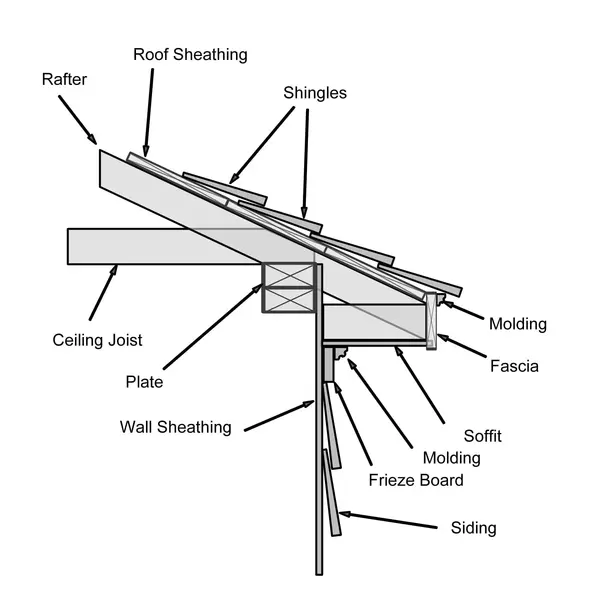 Fascia board anatomy diagram - Need: 600x400px labeled diagram showing fascia board location and components