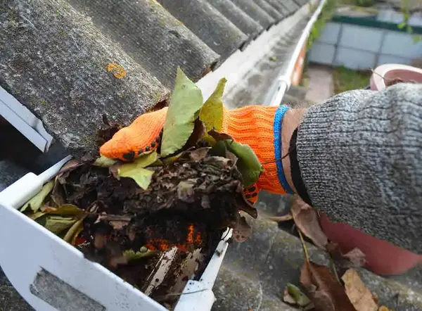 Gutter cleaning service - Need: 800x600px image of technician cleaning debris from gutters